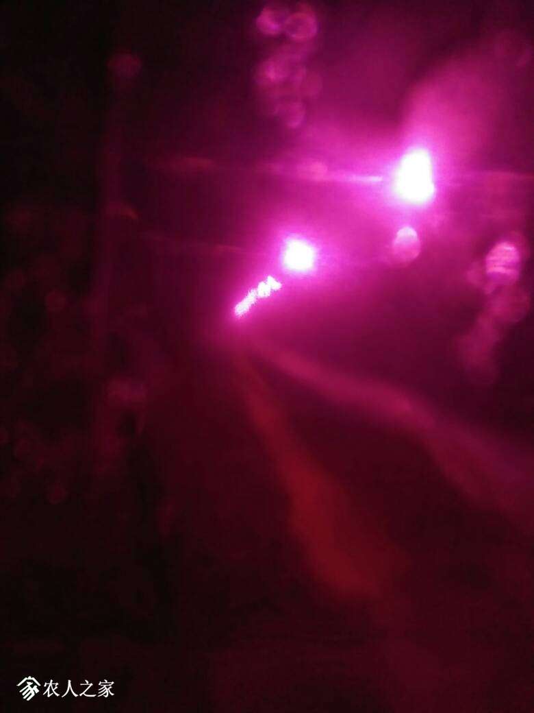 190103rsvdz4xdyevlx3tt.jpg