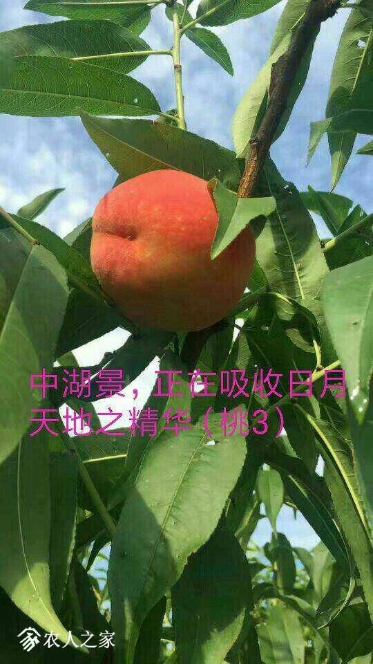 201402tv2jvbpljy2yzujh.jpg