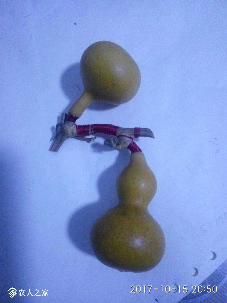 205334t1pe9aeezei7pej9.jpg