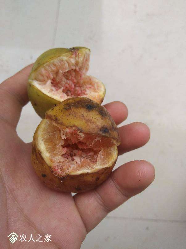 230535fwqkwkg3cx44wrue.jpg