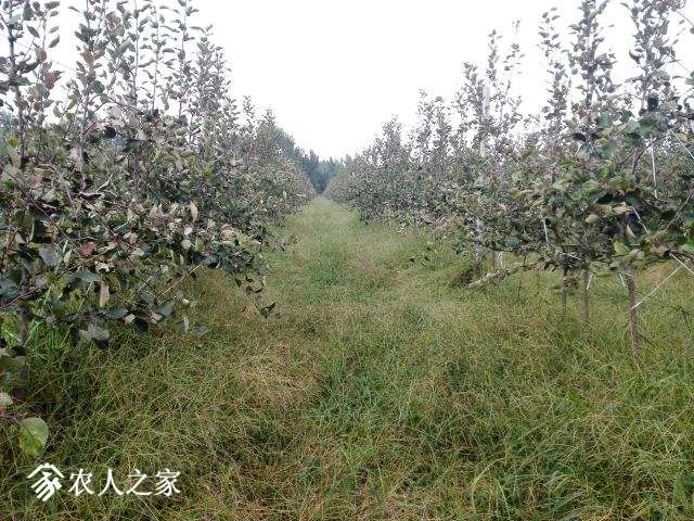 IMG_20170910_103528.jpg