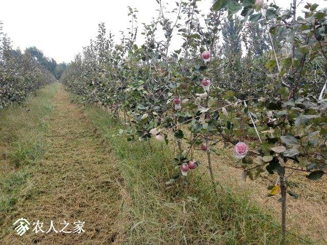IMG_20170916_152950.jpg