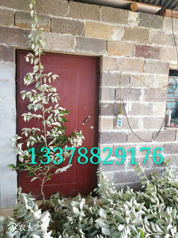 100856le96uzu6exuepae4.jpg
