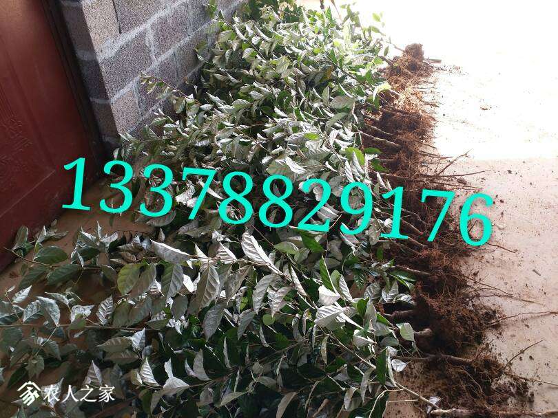 100857xb9gk1d5ol1vx9hd.jpg