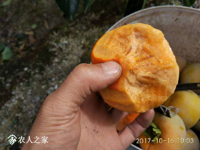 101112syp4jpzyx6jv8y97.jpg