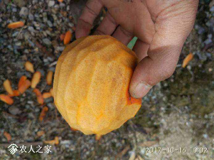 101112vc7lr73jrujhvuhr.jpg