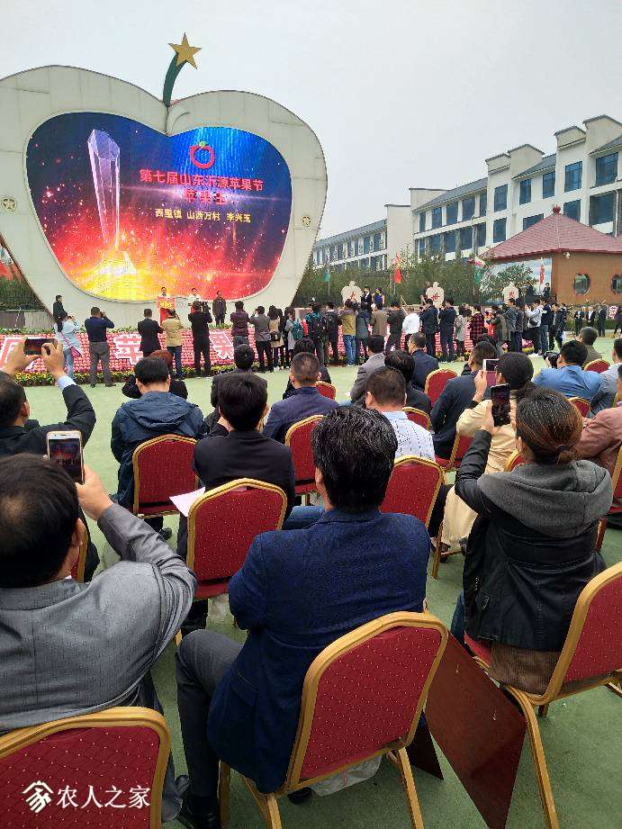 183103ovd8v7bzgzwswss6.jpg