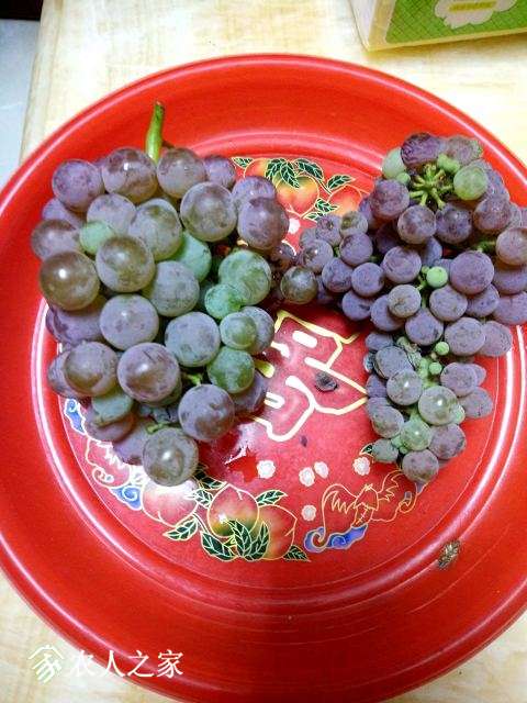 IMG20170622195110.jpg