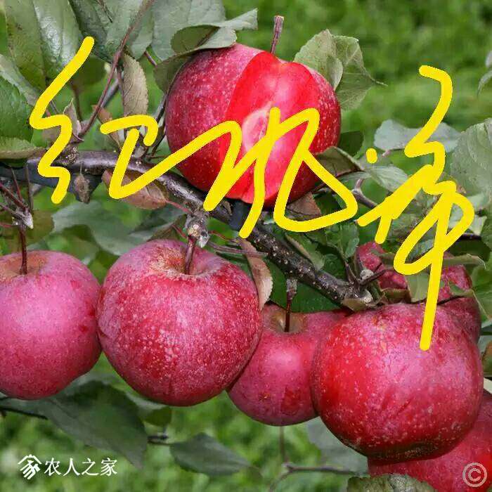 085634ktwxzwazrb8lzibz.jpg