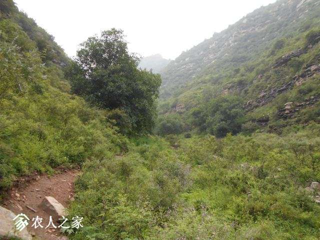 DSCN0095.JPG