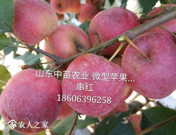 211901oyiorrldw4n42lcr.jpg