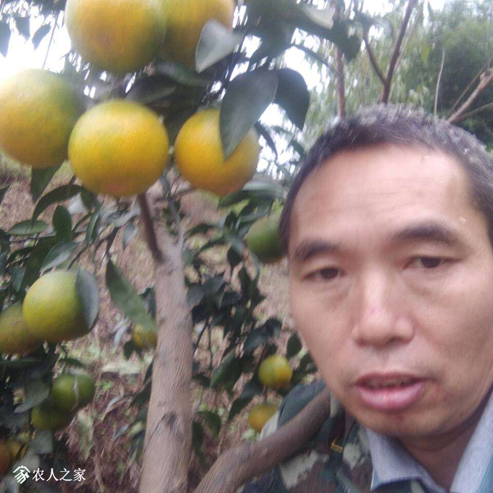 055529phjcj9jrzz9qunhj.jpg