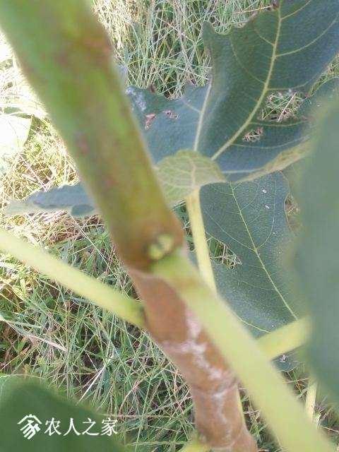 IMG20170926080425.jpg