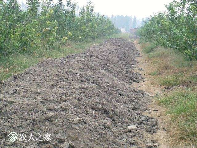 psb32.jpg