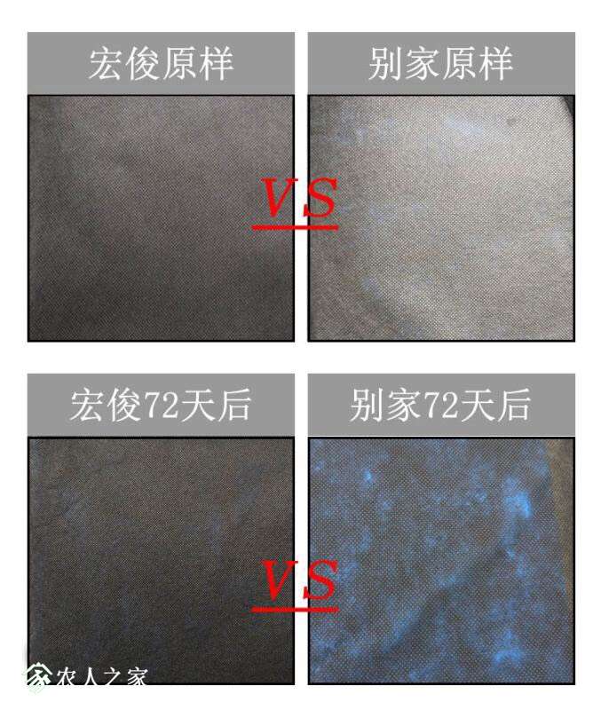 153421lp6cnvcp566n9nwv.jpg