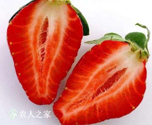 u=2468390082,3737725047&amp;fm=27&amp;gp=0.jpg