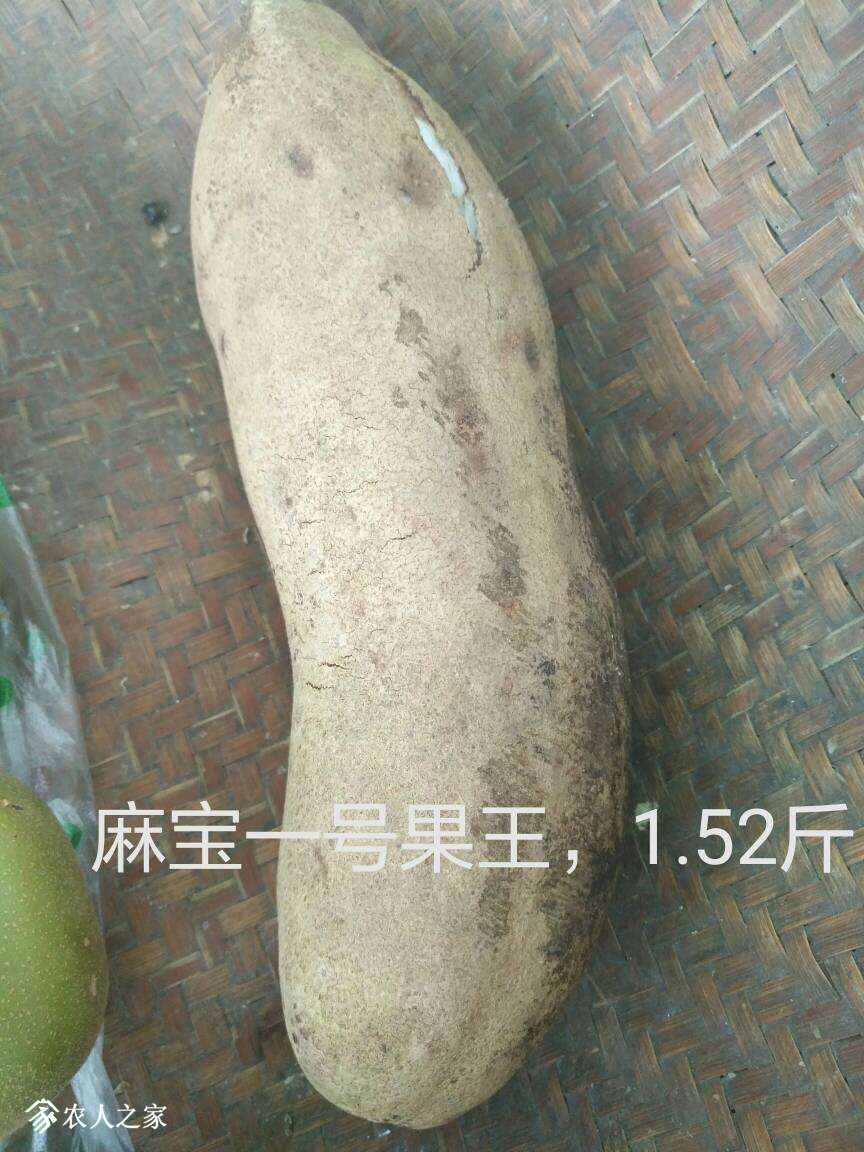 182633grqo9b6qe6ttvvup.jpg