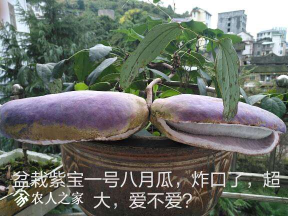 182633heoiequtjitnetio.jpg