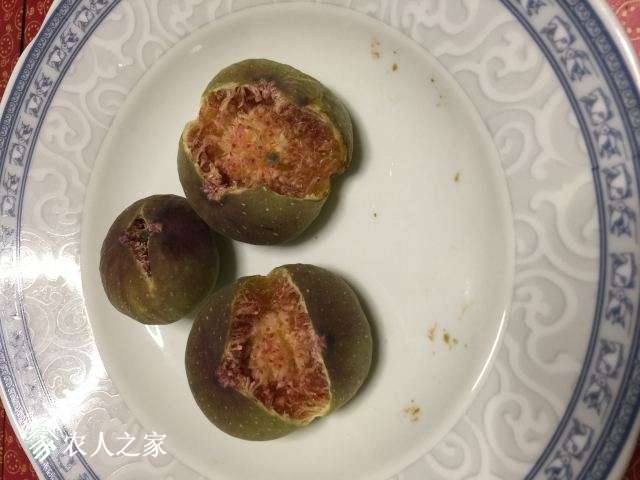 20171019204820.jpg