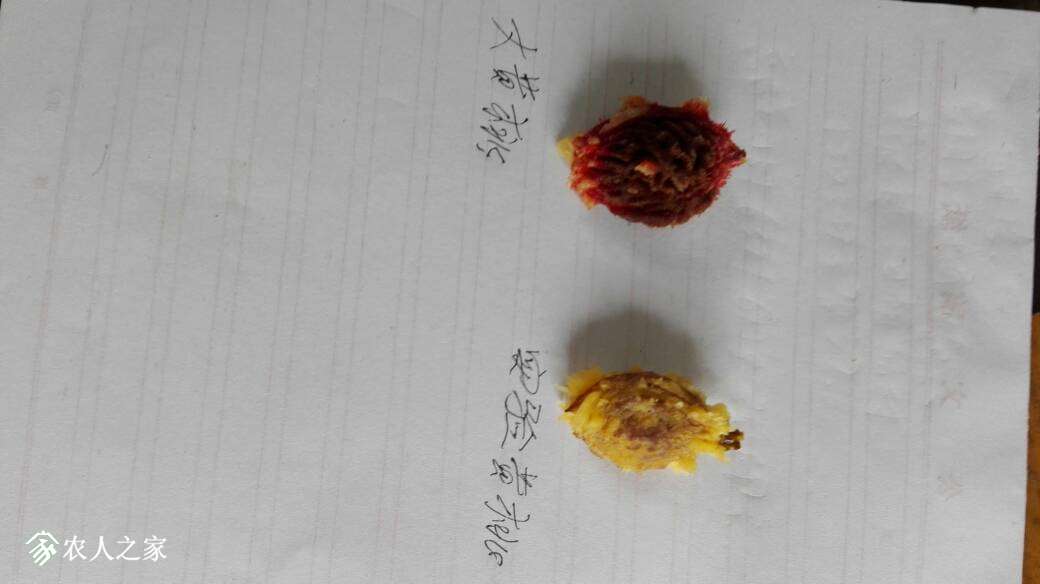132504fuumdxzkhdxghmqi.jpg
