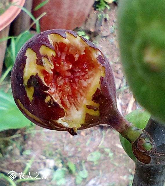 IMG_20170710_123354 .jpg