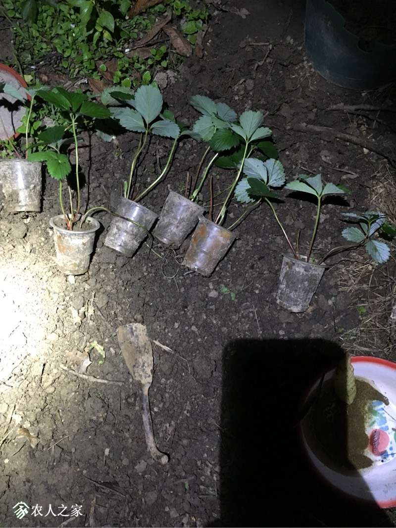 201911appnha518h8ahv3h.jpg