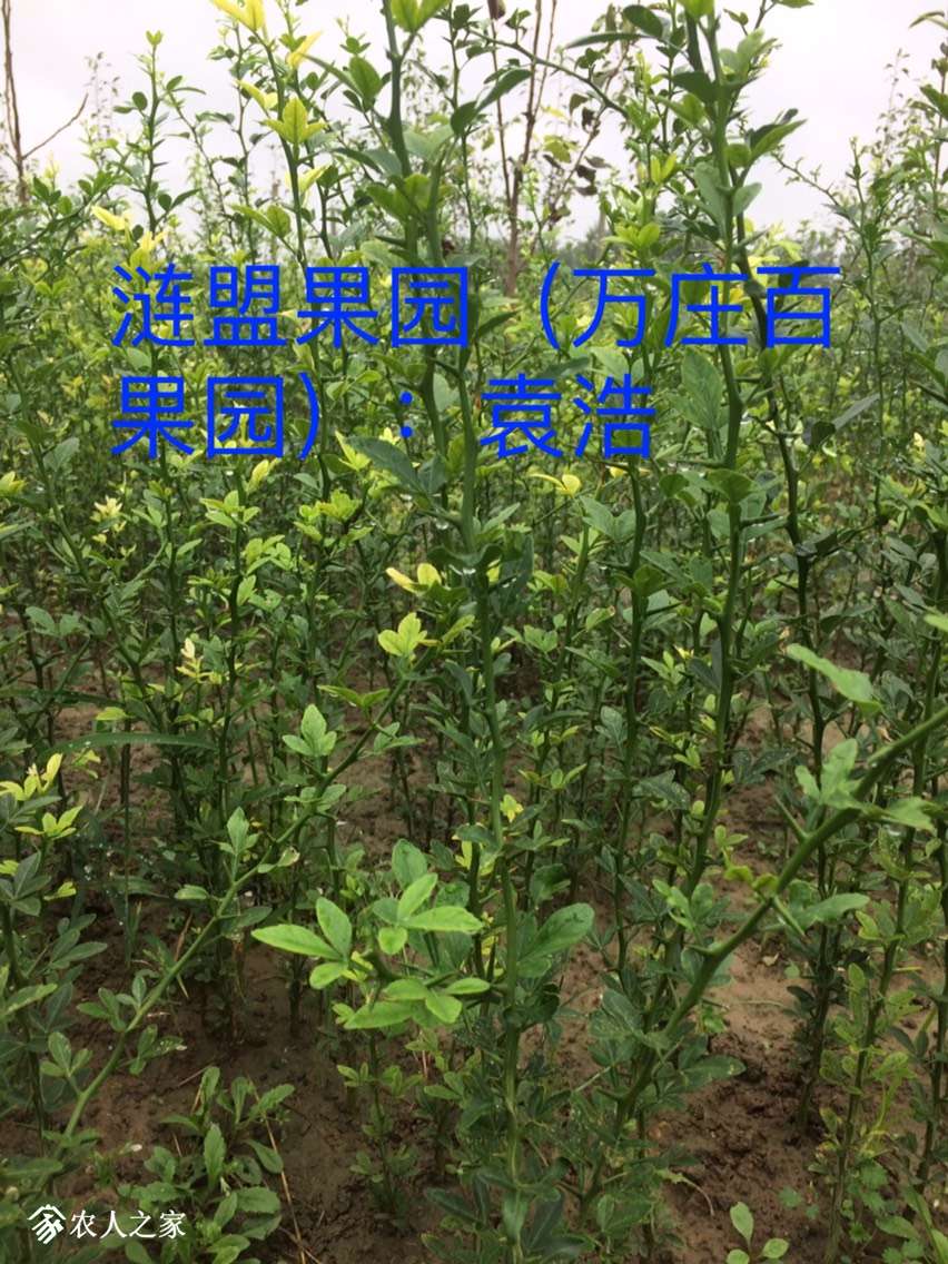 210647qyb3yx73u3xgryrc.jpg