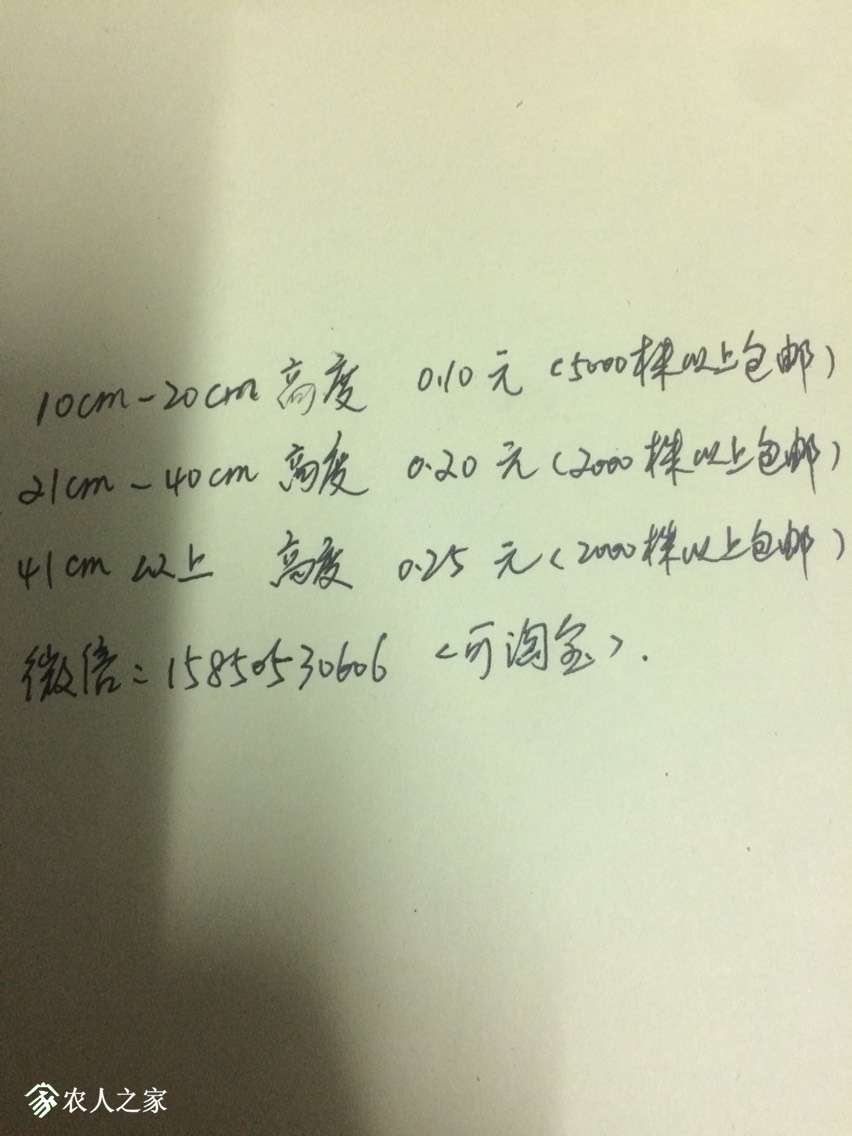 210653p54gg4agi8g8bgu5.jpg