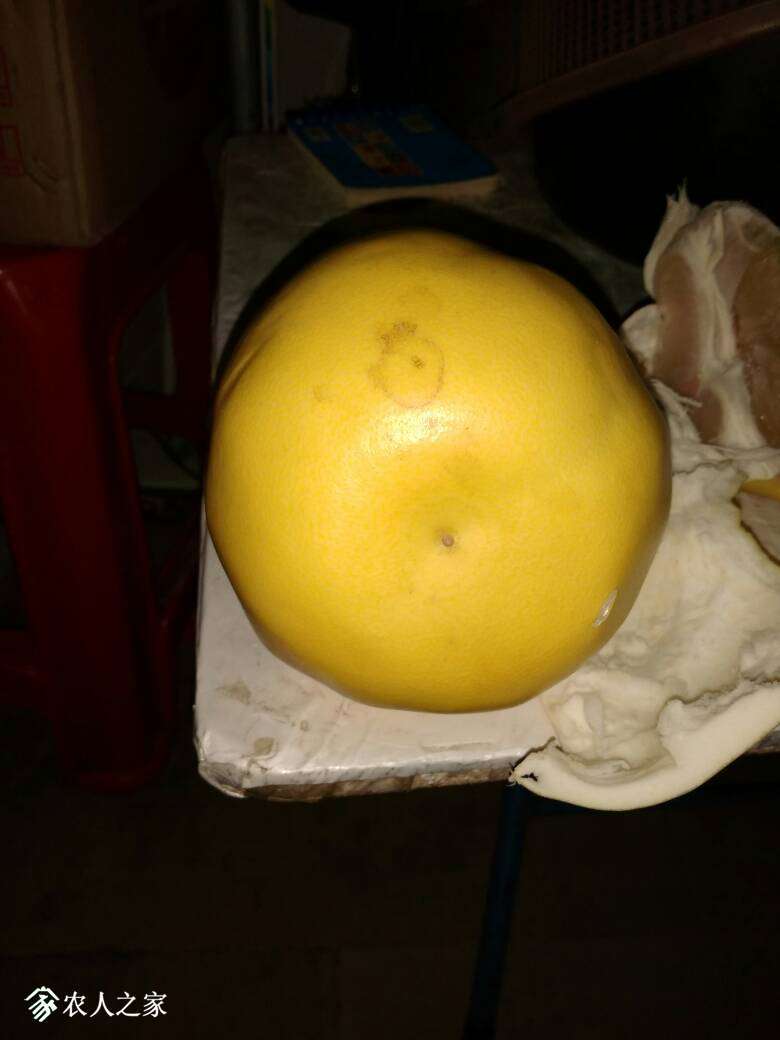 222323r6mvpkpmvhd9ky9a.jpg