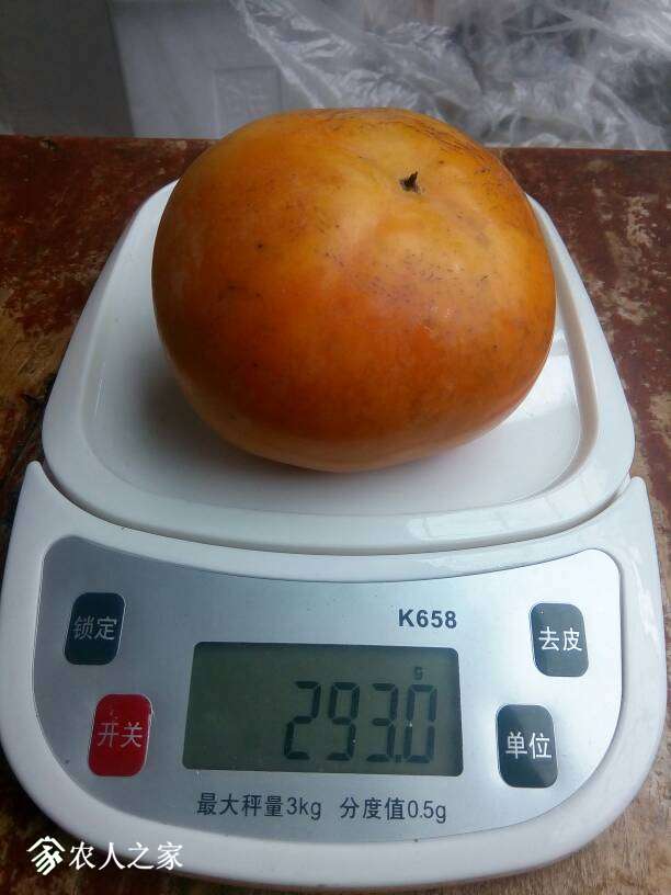 115206jdwm1c6mjbmdbkij.jpg