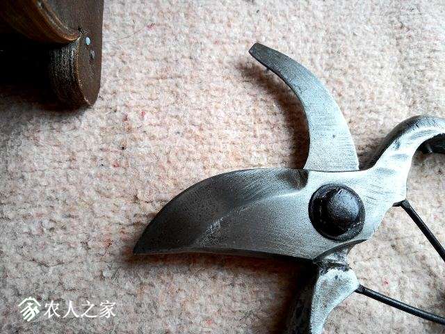 ĥ-2.jpg