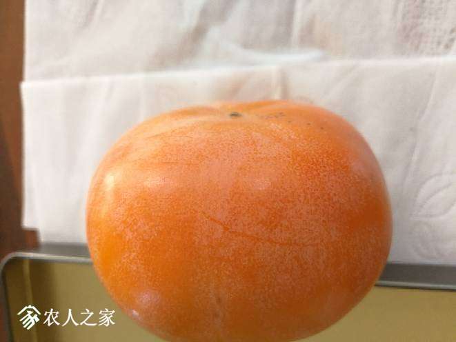 223552kinzzsi5hqnxhuig.jpg