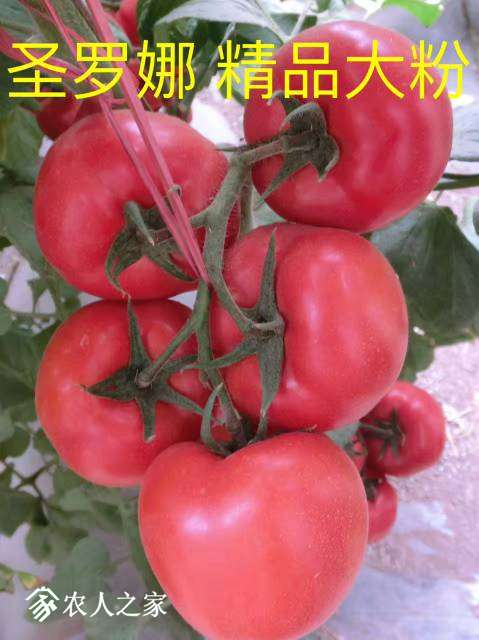 142056sdlnynj4cz79yyzy.jpg