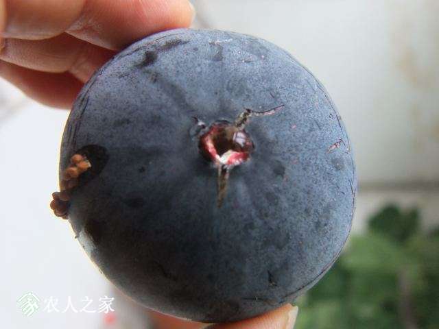 DSCF5056.JPG