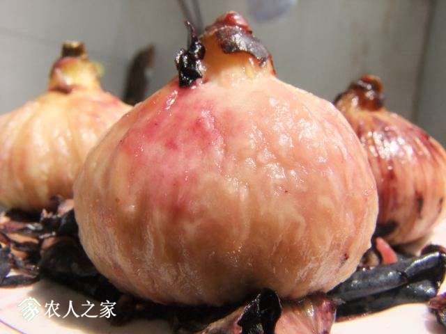 DSCF5111.JPG