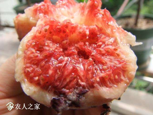 DSCF5139.JPG