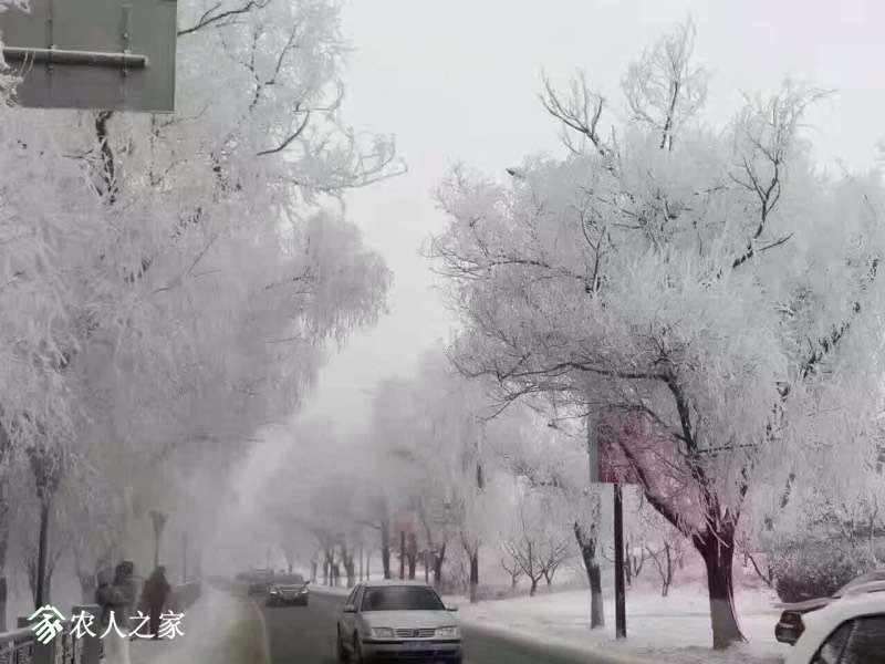 220246izh1n4mnzj1jmljl.jpg
