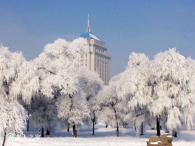 220247ejfyy1gy2q0sjiu0.jpg