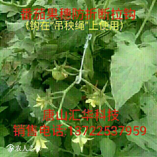 063413r0bso0cvvsuhvcsr.jpg