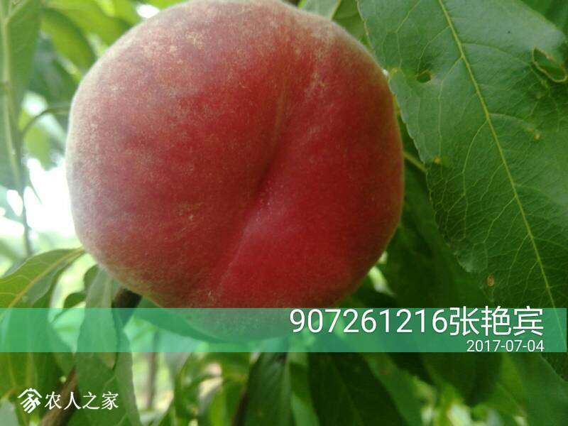 125344mqlllovlv42oovvl.jpg