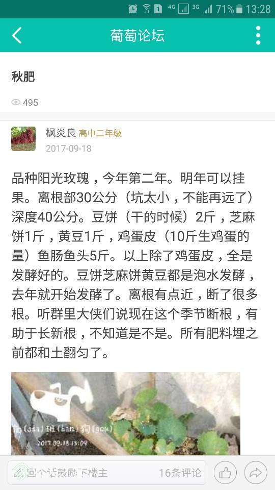 133221p9od7oolwddjb919.png
