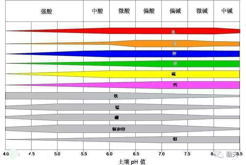 081733g353b1n1i8n881lf.jpg