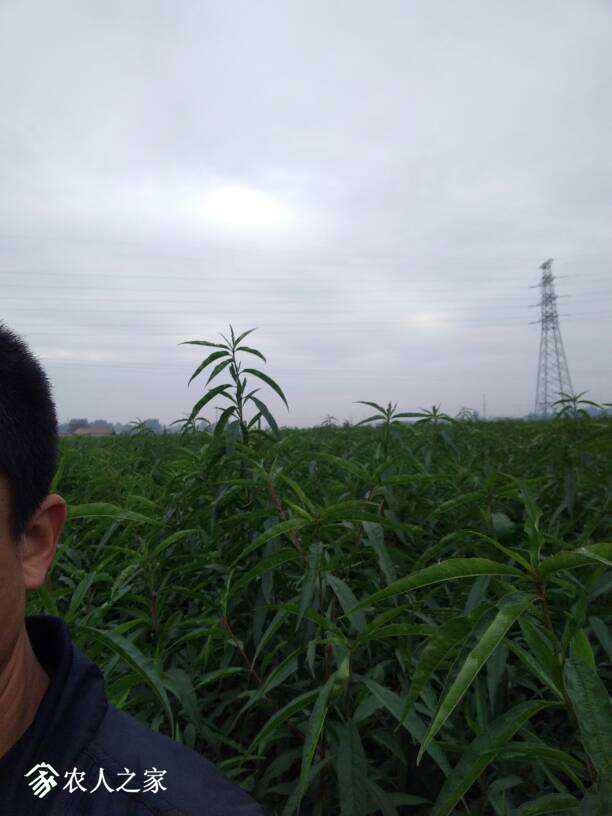 131121t88gdqtfg9fqzwqf.jpg