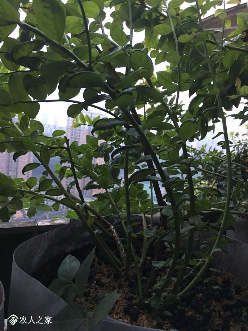 004939u1ay2rdoj28rp9qr.jpg