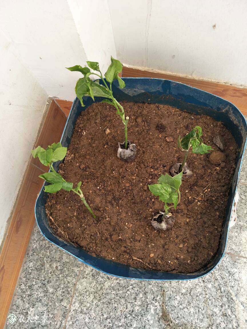 093229kekeppeewoi7nqwa.jpg