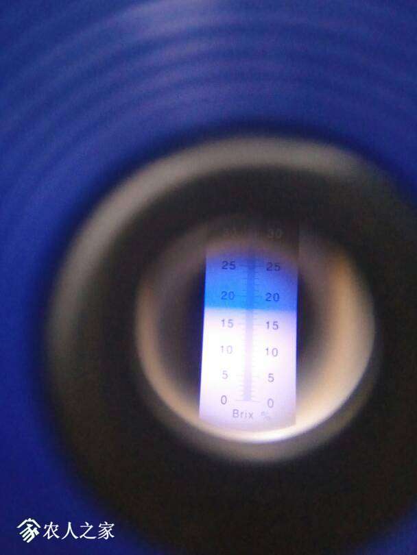 200755ph3cesyhqitgtyge.jpg