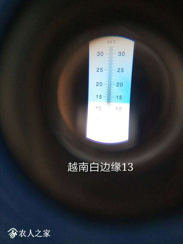 124546ymh3ofaozl317yaa.jpg