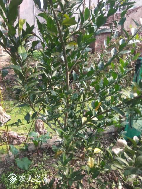 IMG_20171027_143019.jpg