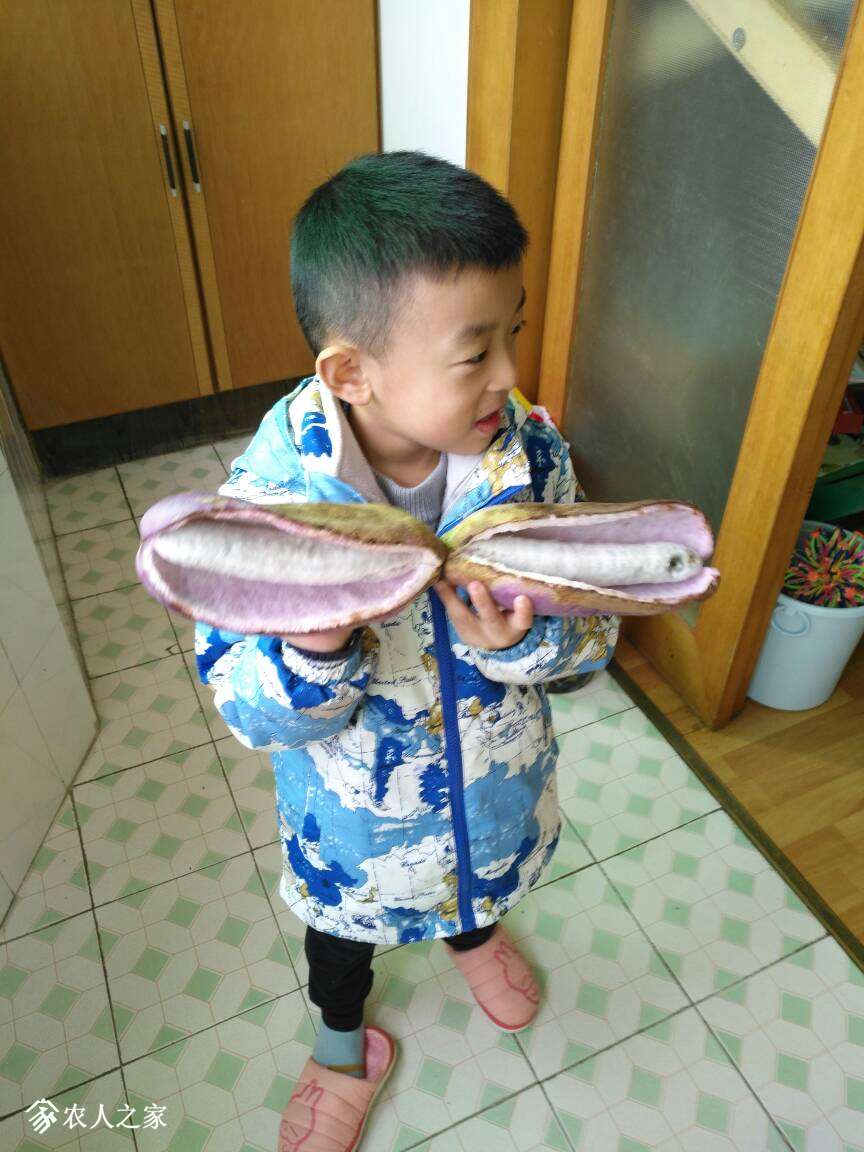 211713prcna6czzevjhxhv.jpg