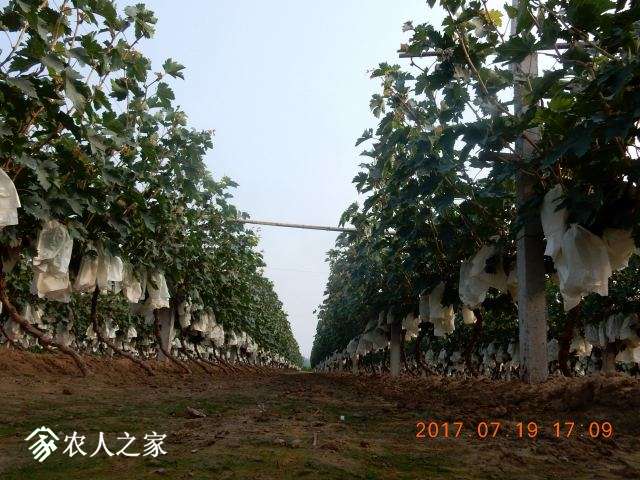 012.JPG